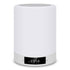 Bedside Table Lamp Touch Colorful Light